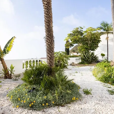 Home2book 3 Palmeras فيلة ساوزال